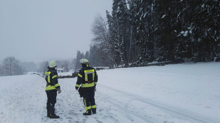 Feuerwehr Ermengerst - Straßensperre wegen umgestürzten Baum in der Römerstraße (Ermengerst)