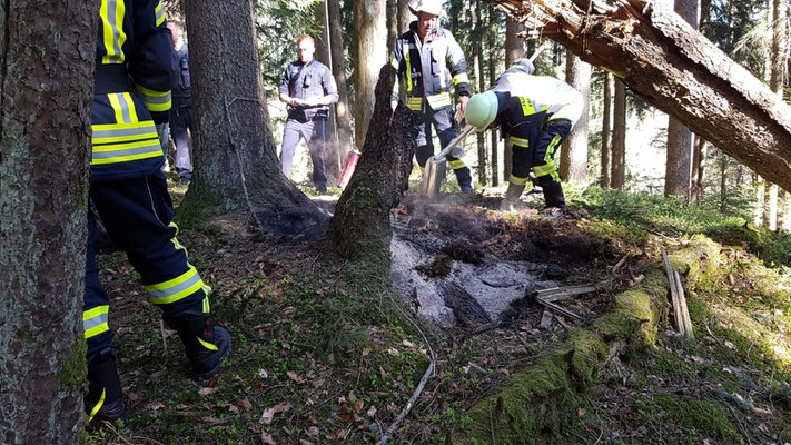 20.04.2019 Feuerwehr Ermengerst - Waldbrand - Kleinbrand - bei Prestlings 