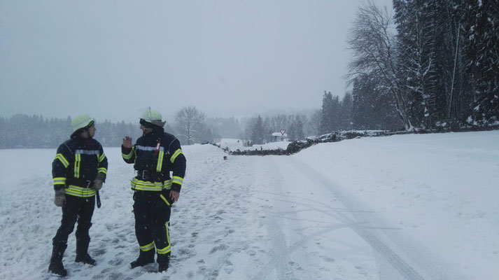 Feuerwehr Ermengerst - Straßensperre wegen umgestürzten Baum in der Römerstraße (Ermengerst)