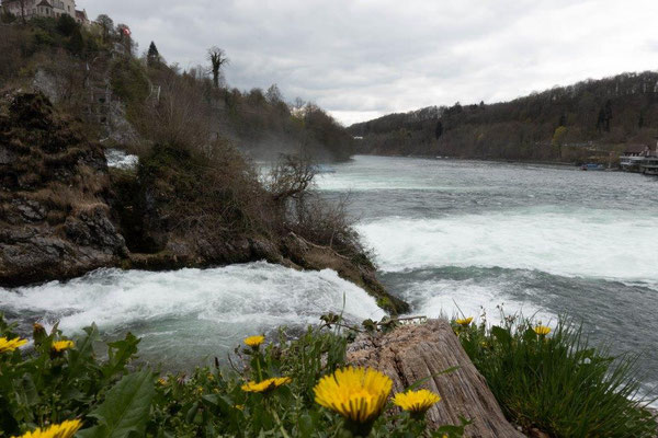 2019 Bildungsfahrt der Jugendfeuerwehr Oberallgäu - Rheinfall in Schaffhausen