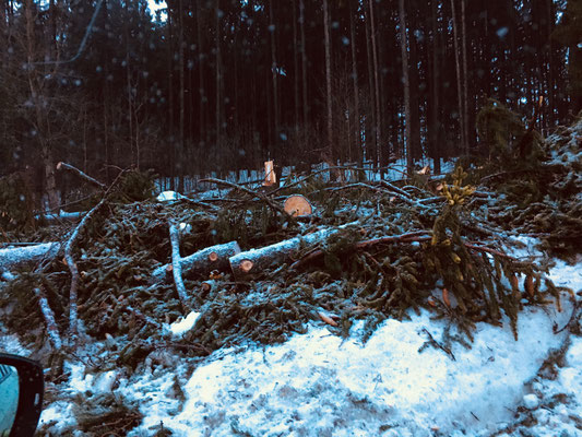 Feuerwehr Ermengerst - Straßensperre wegen umgestürzten Baum in der Römerstraße (Ermengerst)