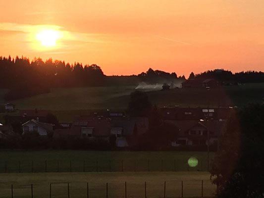 am nächsten Morgen raucht das Heu immer noch