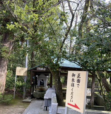 御神水