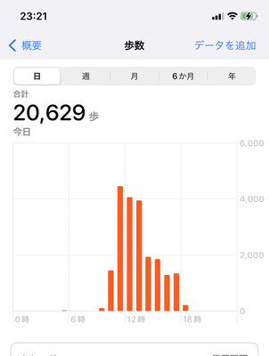 沢山歩いたなぁと思ったら　なんと２万歩‼