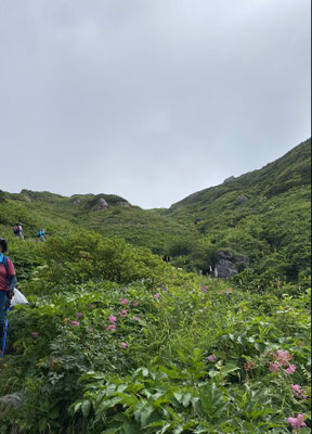 黒ぼっこ岩までもう少し"(-""-)"でも下山。１７６階辺りで下山。９時