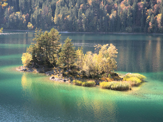 Insel im Eibsee©as