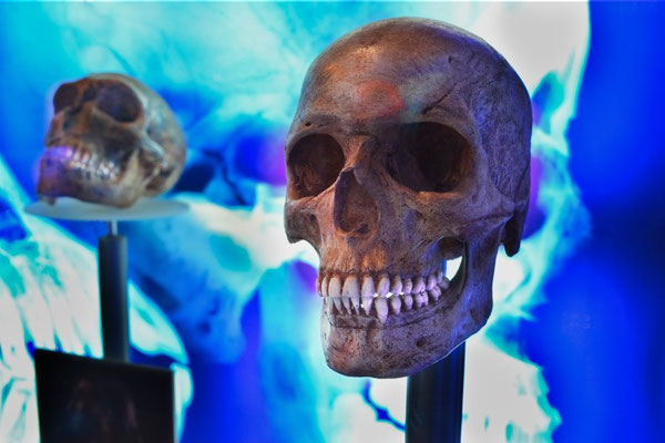 cradle of mankind, sterkfontein, südafrika