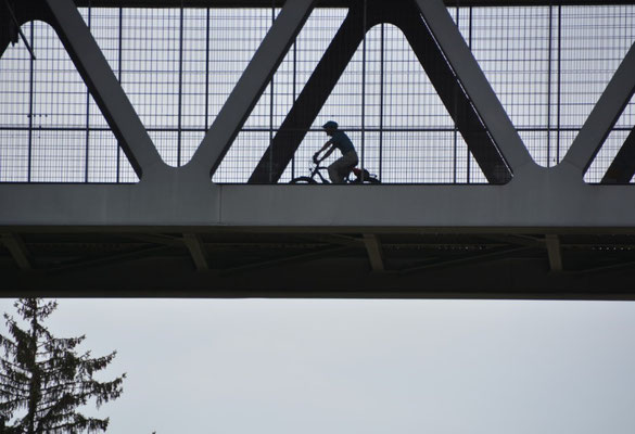 Großhesseloher Brücke©dw