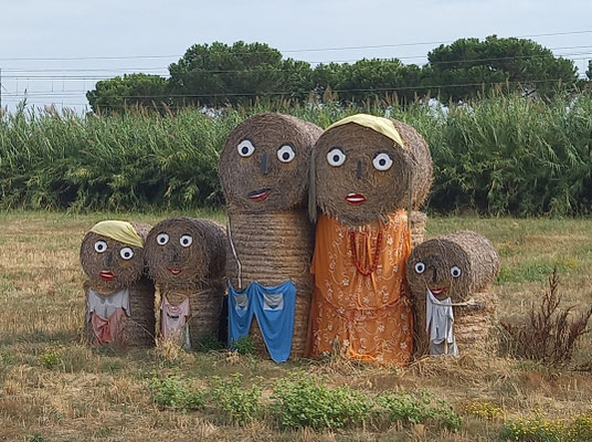 Kunst am Feld