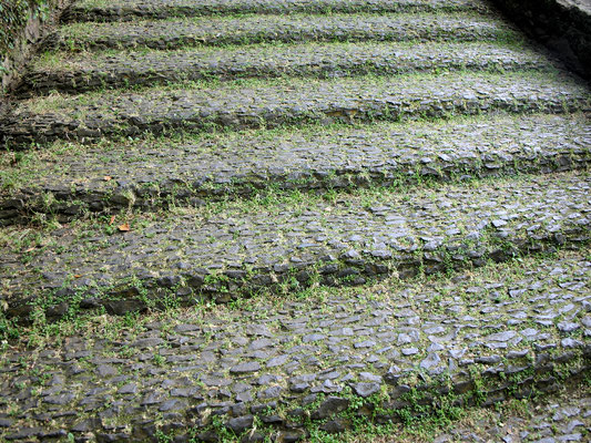 auf_madeira©as