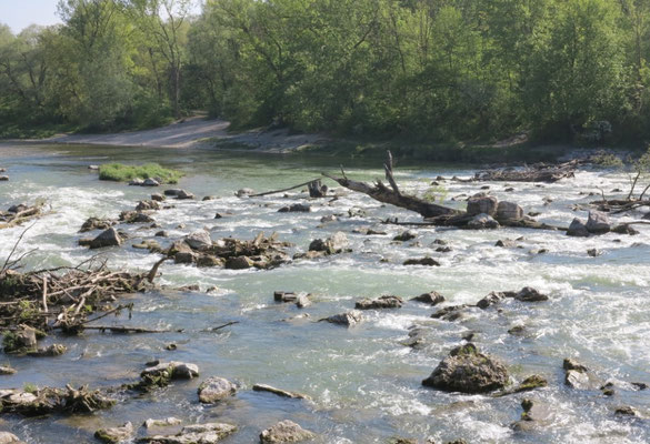 Isar©kp