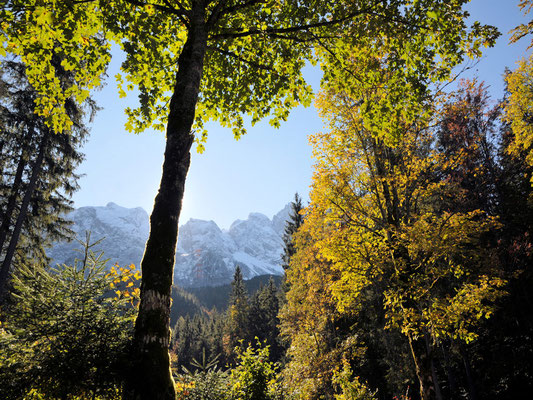 Am Eibsee©as