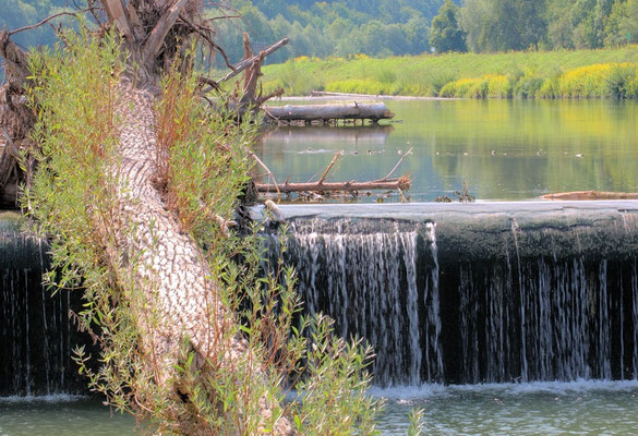Am Wehr©as 