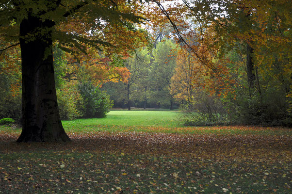 herbst ©as