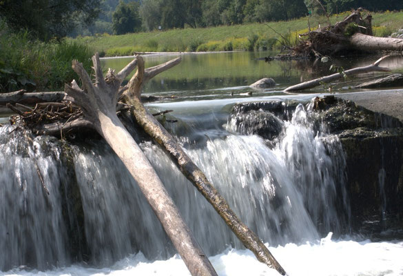 Am Wehr©as 
