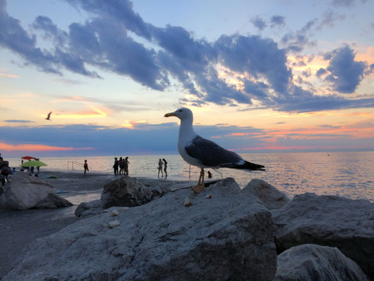 Abends am Meer©as