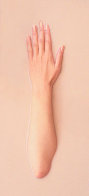 untitled#05-02-01, photograph (body in liquid pigment), 46×21cm, 2005 