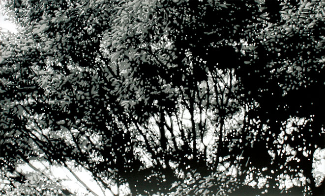 drops #10-09, epoxy resin on acrylic sheet, 91.5×150cm, 2010