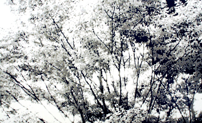 drops #10-08, epoxy resin on acrylic sheet, 91.5×150cm, 2010
