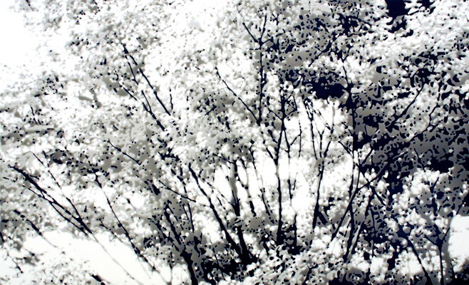 drops #10-08, epoxy resin on acrylic sheet, 91.5×150cm, 2010