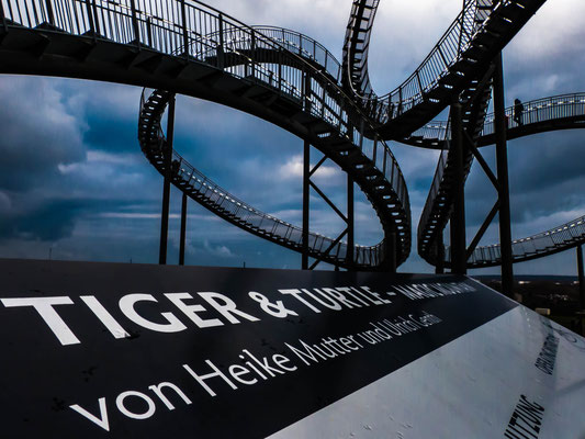 Januar 2016 - Tiger & Turtle, mein erstes Foto im RAW Format!