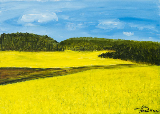 Rapsfeld in Franken (50x70) Acryl