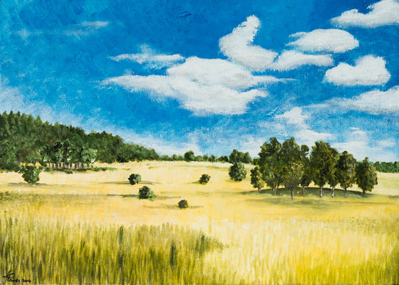 Sommerlandschaft (50x70) Acryl