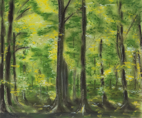 Frühling im Pfälzer Wald (40x50) Pastell