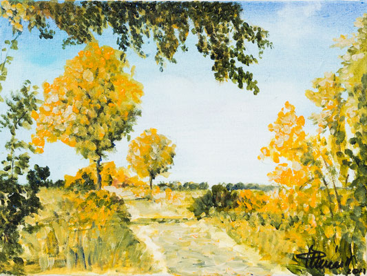 Herbst im Münsterland (30x40) Acryl