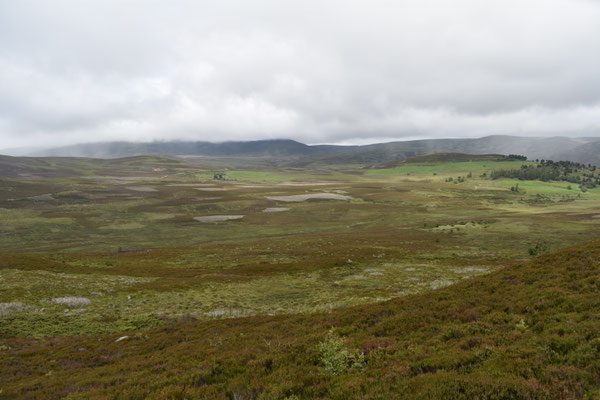 Cairngorm Nationalpark