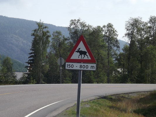 und? Wo sind die?
