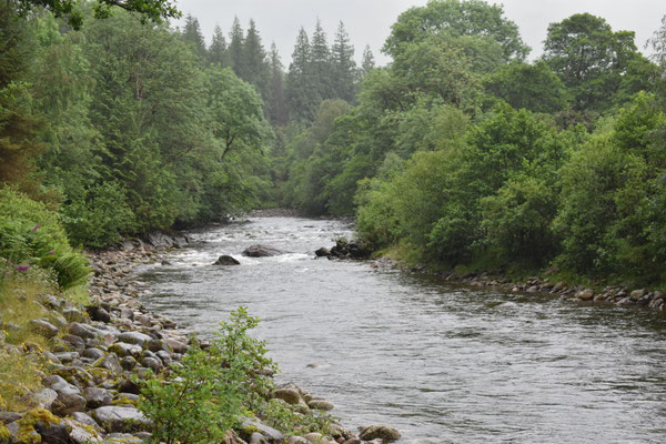 wildcamping im Glencoe