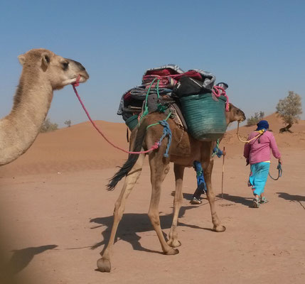 Voyage Qi Gong désert Maroc