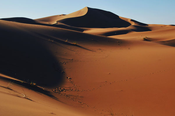 Voyage & méditation dans le désert Marocain
