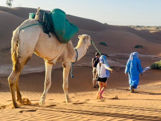 Bivouac Chegaga Sahara