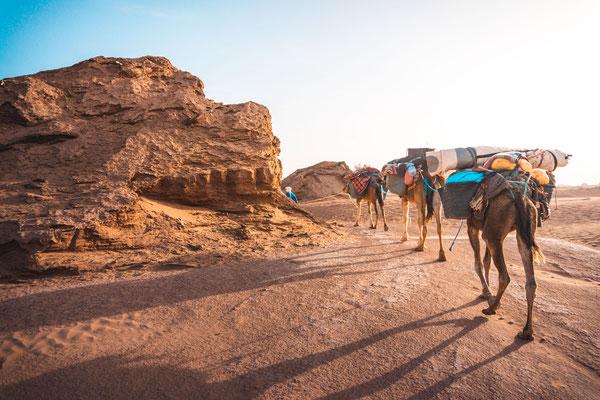Trek et Qi Gong dans le Sahara marocain