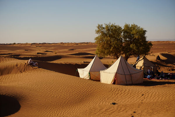 Méharée Qi Gong dans le désert marocain