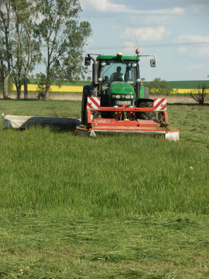 Ein Traktor auf einem Feld mit Grün
