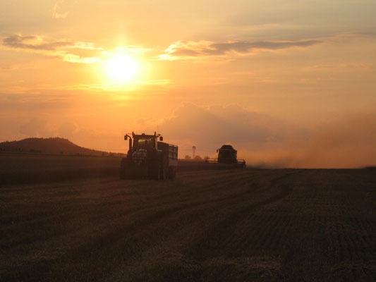Ein Traktor und ein Mähdrescher fahren bei Abendsonne über ein Feld