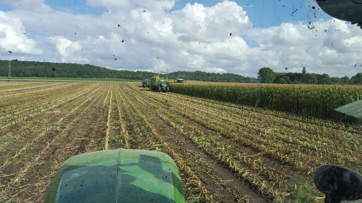 Mehrere Traktoren auf einem Feld bei der Arbeit mit Blick aus einem Fahrerhaus eines Traktors