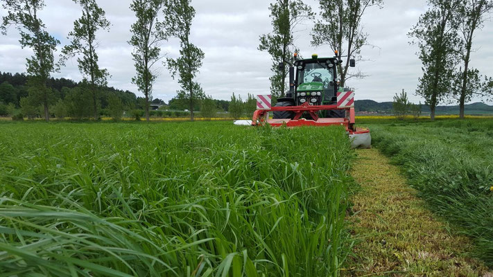 Ein Traktor auf einem Feld mit Grün