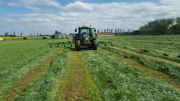 Ein Traktor auf einem Feld mit Grün
