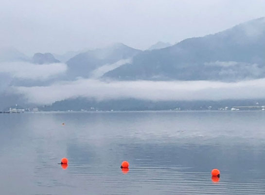 Wohin geht unser Boot?