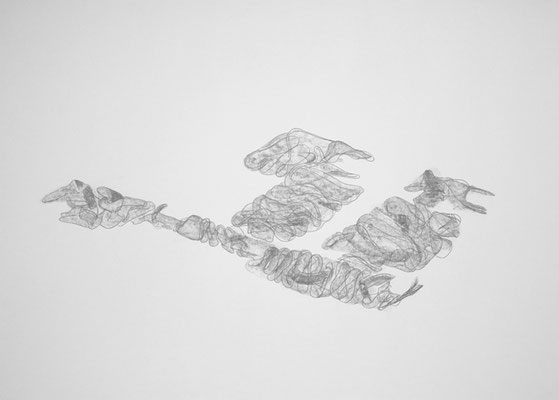 sweep and wipe – Wischen . 2017 . Bleistift auf Papier