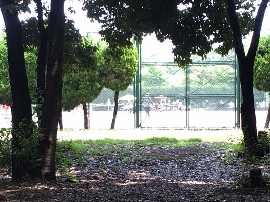 朝宮公園＿スポーツ施設＿003