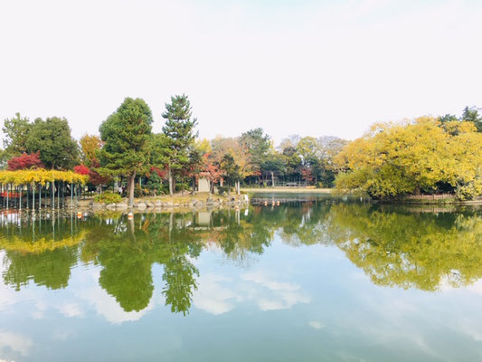 天王川公園＿ピクニック・芝生広場＿003