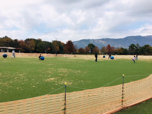 木曽三川公園センター＿大玉・バッテリーカー＿002