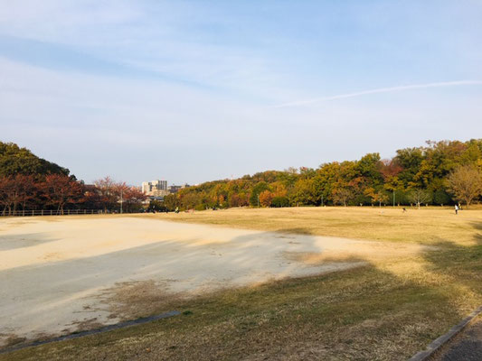 天白公園＿芝生広場_004