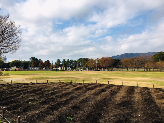 木曽三川公園センター＿ピクニック・芝生広場＿002