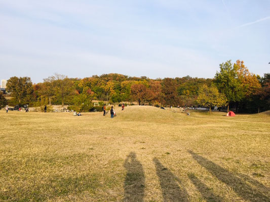 天白公園＿芝生広場_001